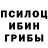 Галлюциногенные грибы Psilocybine cubensis Irina Kleyman
