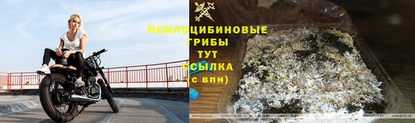ешки Гусь-Хрустальный