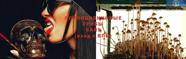 MESCALINE Гусев