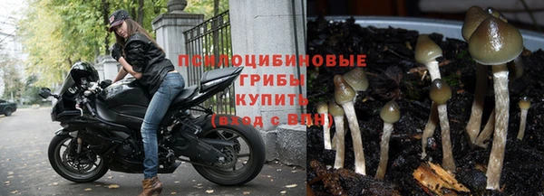 герыч Горнозаводск