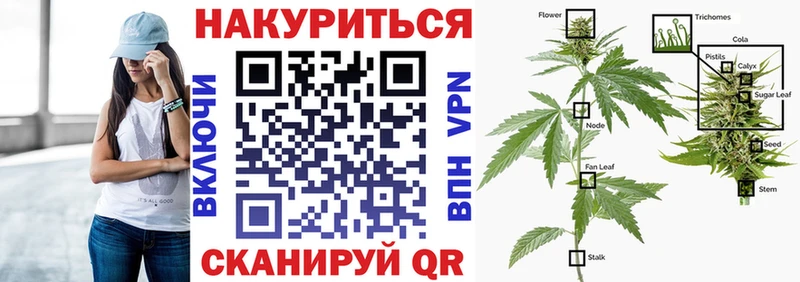 Купить закладки  Белоозёрский  Конопля Bruce Banner 